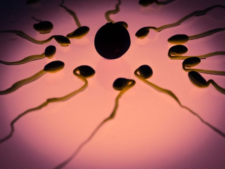 6 tradicionalnih biljaka za mušku plodnost koje su izdržale test vremena