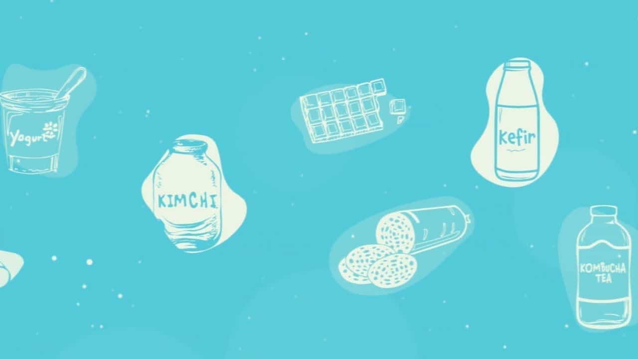 Video Thumbnail: What are fermented foods? ISAPP educational video