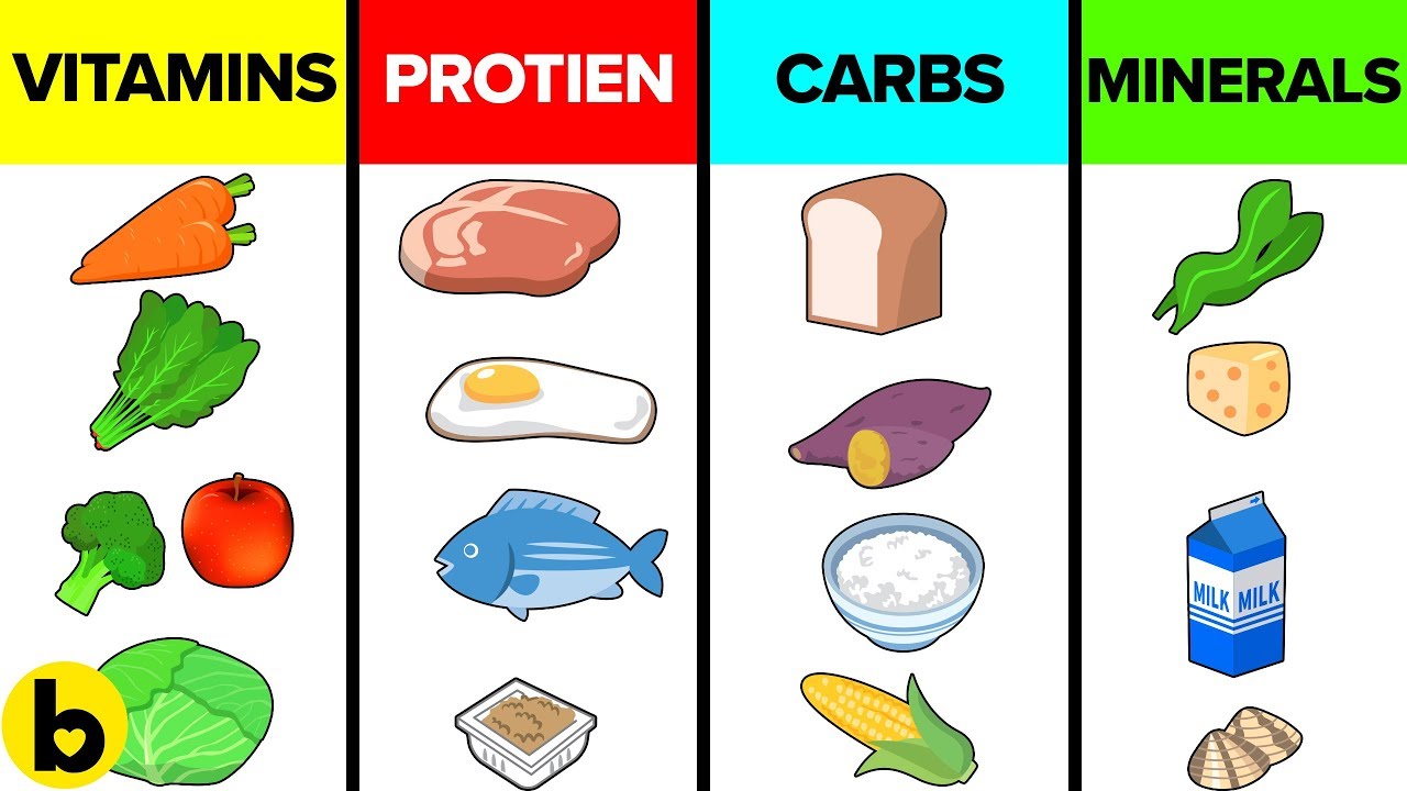 Video Thumbnail: How The Six Basic Nutrients Affect Your Body